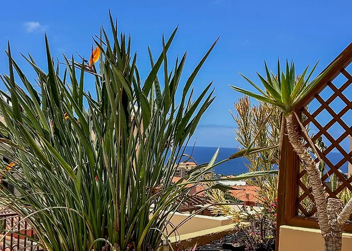 Daire Terrazas Del Duque Ii Hideaway